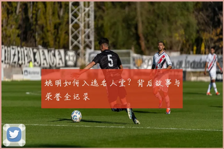 姚明如何入选名人堂？背后故事与荣誉全记录