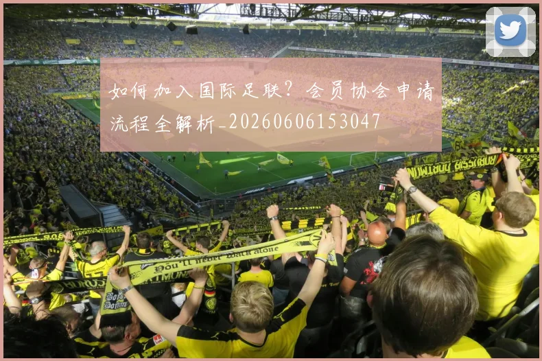 如何加入国际足联？会员协会申请流程全解析_20260606153047